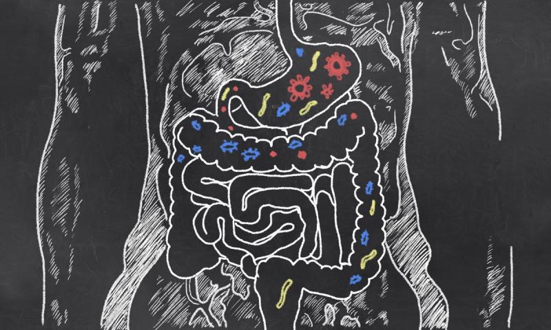 The Potential of Gut Microbiota in Early Colorectal Cancer&nbsp;Detection